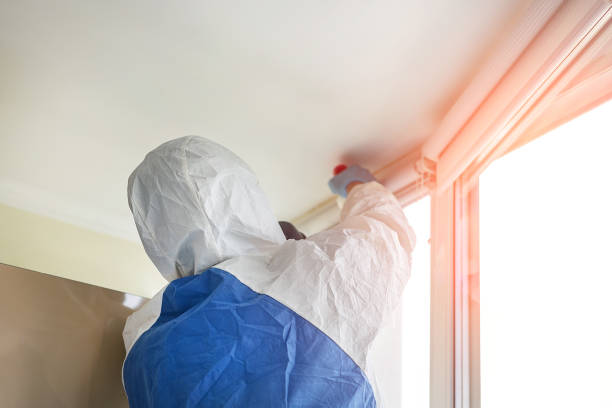 Why You Should Choose Our Mold Remediation Services in Glenarden, MD